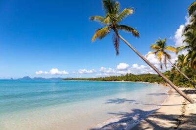 Une magnifique destinations avec plage tropicale de sable fin bordée de cocotiers inclinés et d'une eau turquoise transparente, illustrant le cadre paradisiaque et ressourçant de la pratique du longe-côte.